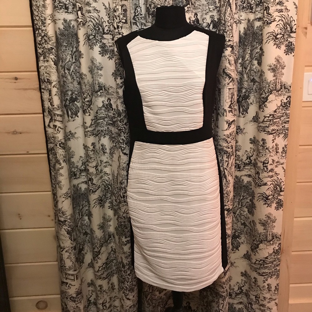 Stunning Black and White DANA BUCHMAN size 12 Dress Business or cocktail Dress